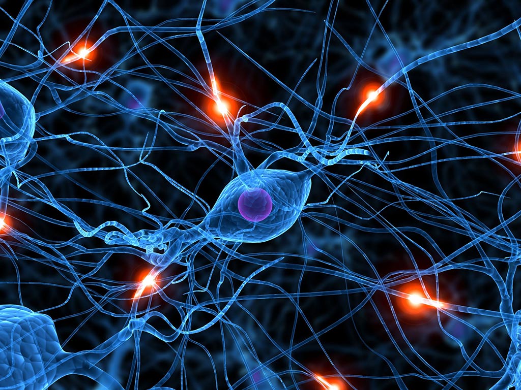 neuronas-academia-goma
